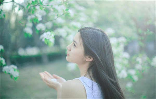 西山验血查男女几周可以验(验血查男女结果图)